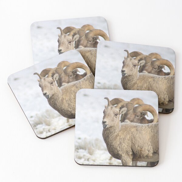 Item preview, Bighorn Ewe Being Sassy designed and sold by AnnahDetwiler.