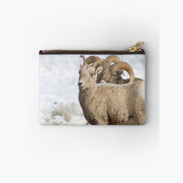 Item preview, Bighorn Ewe Being Sassy designed and sold by AnnahDetwiler.