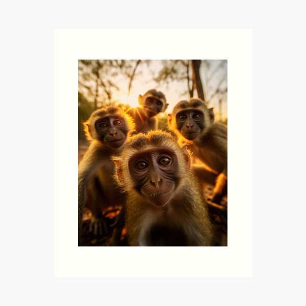 Funny Monkey Selfie of a shocked monkey up to mischief  Art Board Print  for Sale by haRexia