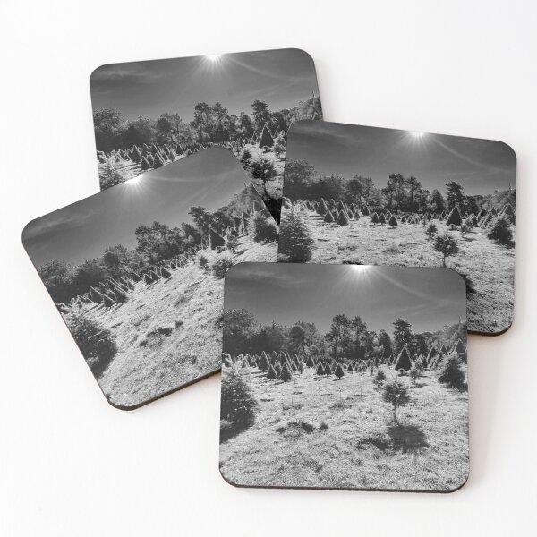 Item preview, Pine trees and the sun B and W designed and sold by Kuetspal-Lin.