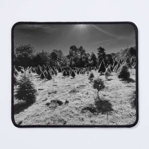 Item preview, Pine trees and the sun B and W designed and sold by Kuetspal-Lin.