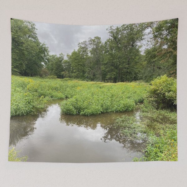 Item preview, Overgrown Flooded Creekbed designed and sold by CJRPics.