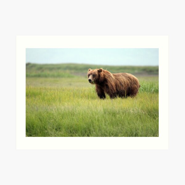 Bears in the Night Sweatshirt Brown Bear Grizzly Wilderness Animals Sweater