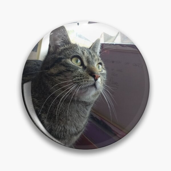 Item preview, #303 |☼| Tabby Cat: Landscape Shot - Catisfaction Cat Café (Cats) designed and sold by Naean H.F. (Nez Man).