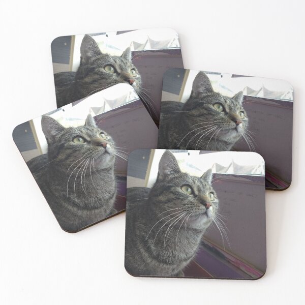 Item preview, #303 |☼| Tabby Cat: Landscape Shot - Catisfaction Cat Café (Cats) designed and sold by Naean H.F. (Nez Man).