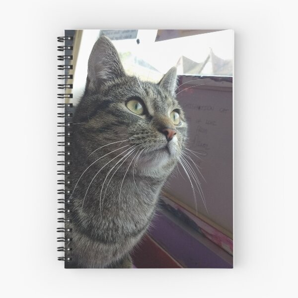 Item preview, #303 |☼| Tabby Cat: Landscape Shot - Catisfaction Cat Café (Cats) designed and sold by Naean H.F. (Nez Man).