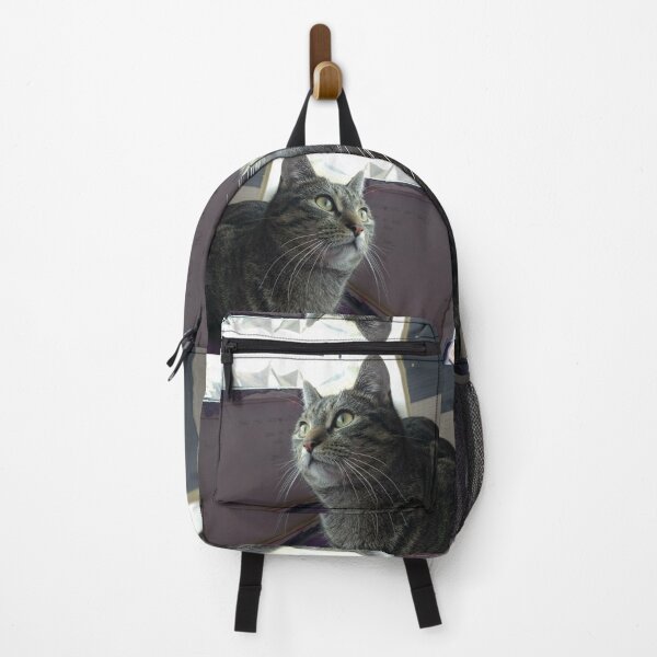 Item preview, #303 |☼| Tabby Cat: Landscape Shot - Catisfaction Cat Café (Cats) designed and sold by Naean H.F. (Nez Man).