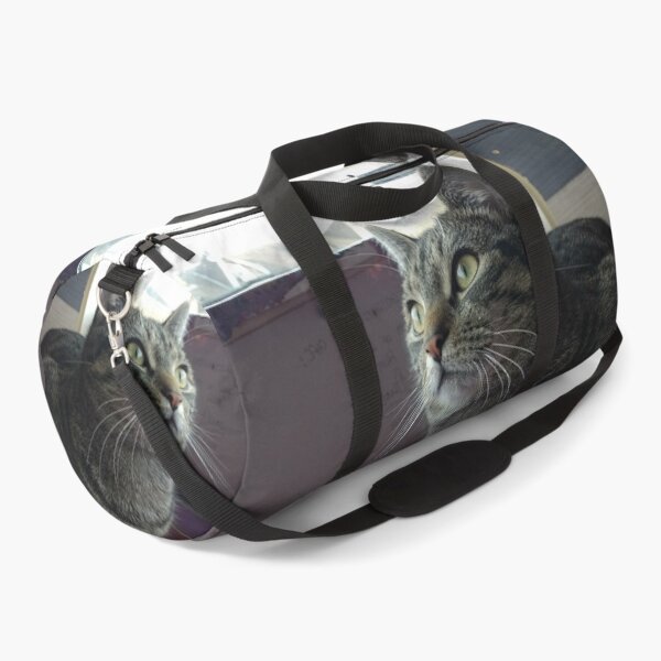 Item preview, #303 |☼| Tabby Cat: Landscape Shot - Catisfaction Cat Café (Cats) designed and sold by Naean H.F. (Nez Man).