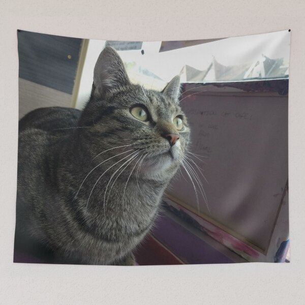 Item preview, #303 |☼| Tabby Cat: Landscape Shot - Catisfaction Cat Café (Cats) designed and sold by Naean H.F. (Nez Man).