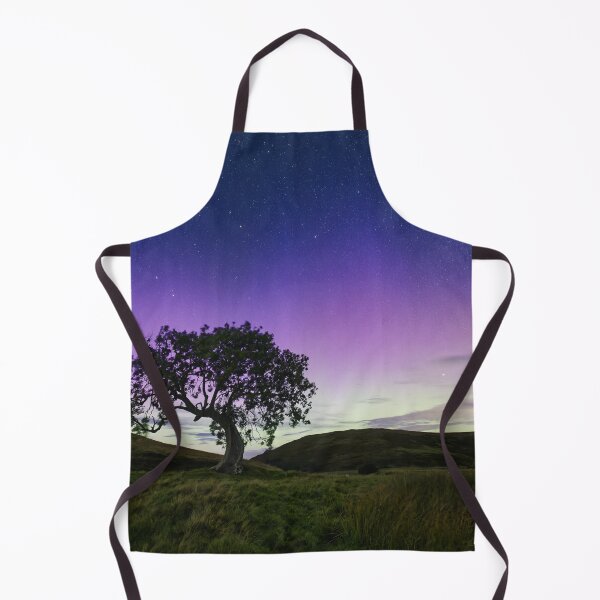 Item preview, Aurora and Meteor by the Frandy Tree, 20230918 designed and sold by ShinyPhoto.