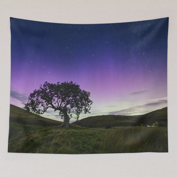Item preview, Aurora and Meteor by the Frandy Tree, 20230918 designed and sold by ShinyPhoto.
