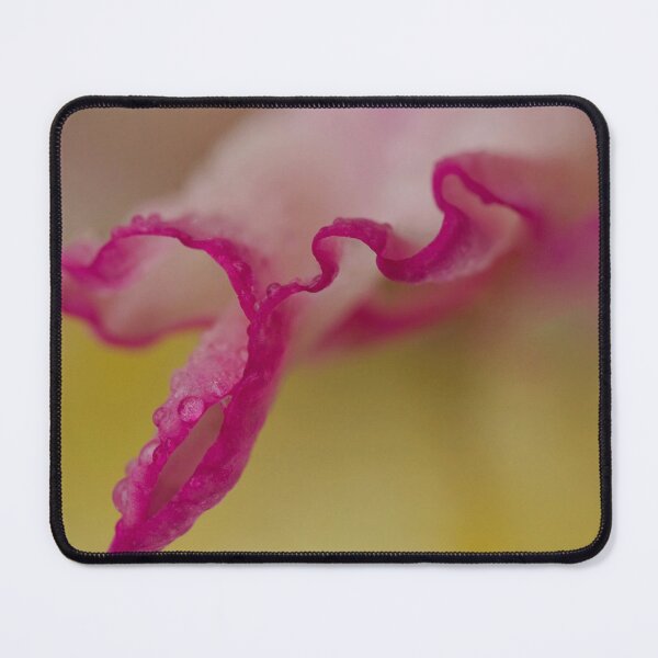 Item preview, Gladiolous designed and sold by Kim Chi Thai.