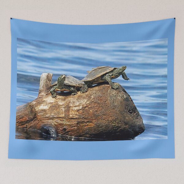 Item preview, The Turtle Wave designed and sold by Deb Oppermann.