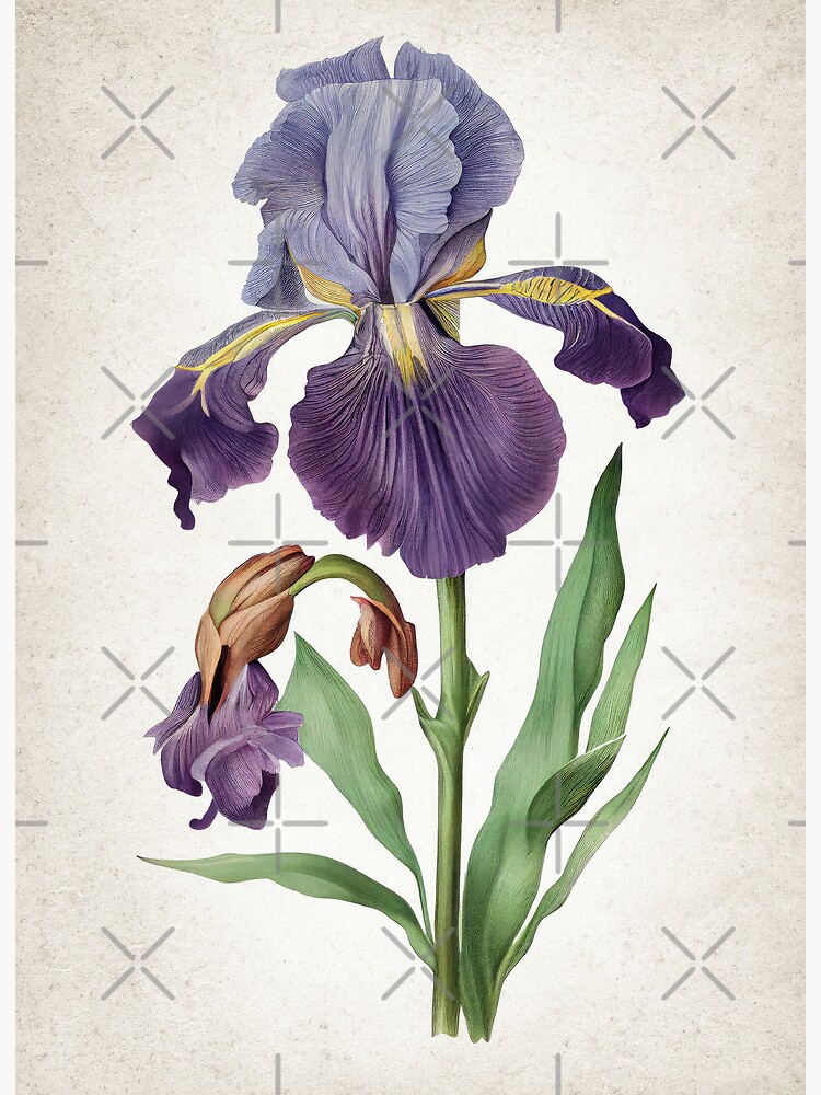 Knot Silk Bag - Flower / Iris Blue – Motto Vintage