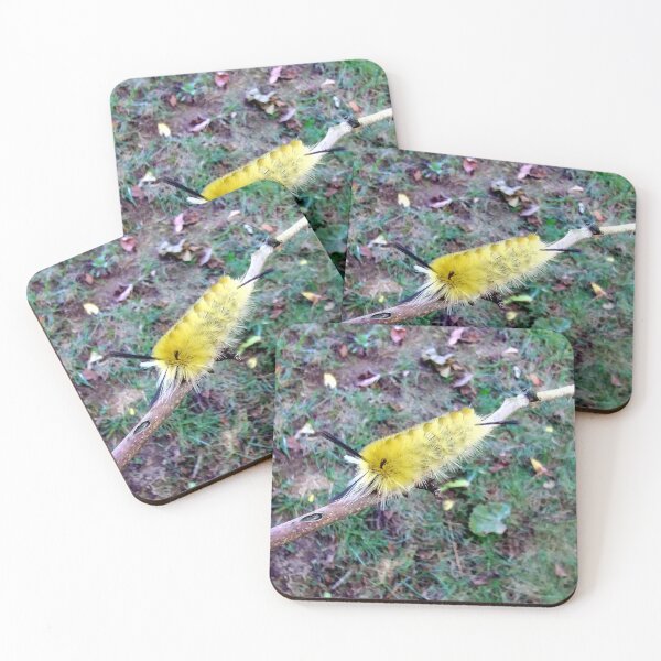 Item preview, Banded Tussock Moth Caterpillar  designed and sold by gistinker.