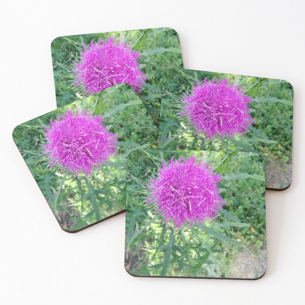 Item preview, Bull Thistle designed and sold by gistinker.