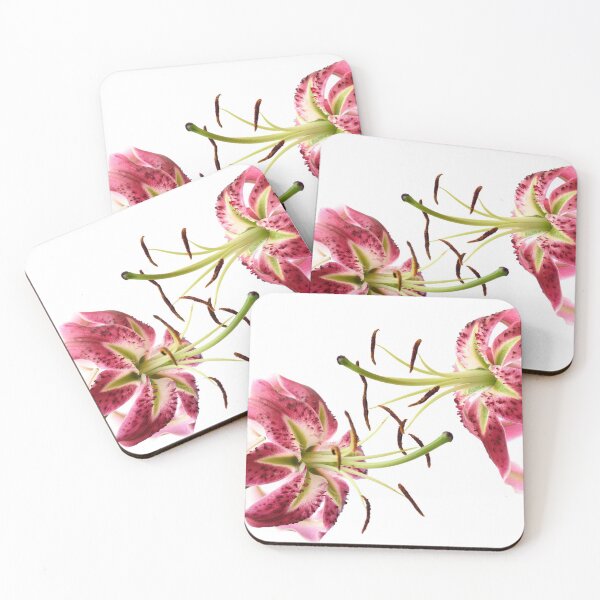 Item preview, Lily designed and sold by Chris Burrows.