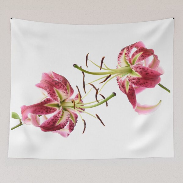 Item preview, Lily designed and sold by Chris Burrows.