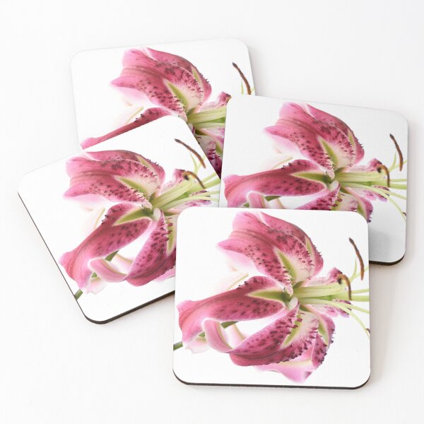 Item preview, Lily designed and sold by Chris Burrows.
