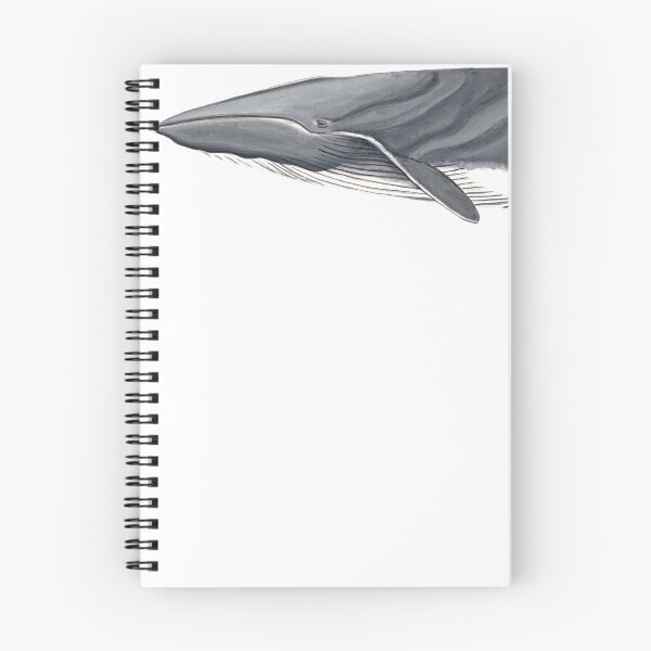 Item preview, Fin whale designed and sold by chloeyzoard.