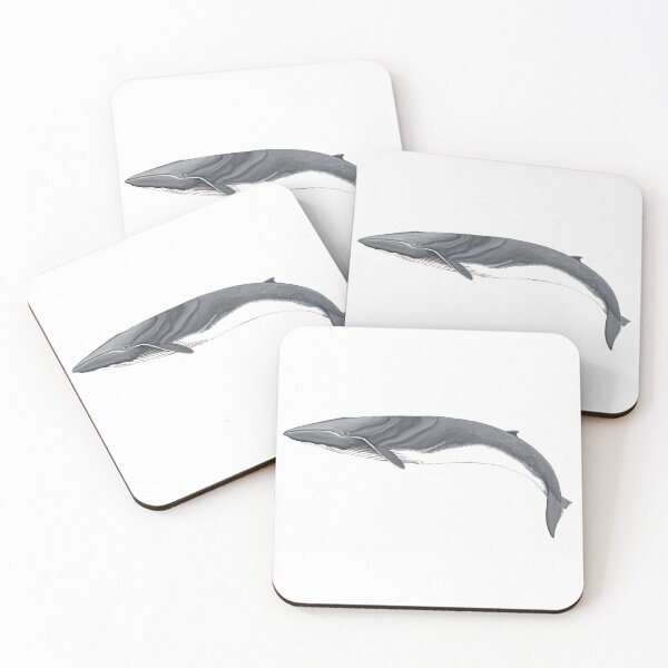 Item preview, Fin whale designed and sold by chloeyzoard.
