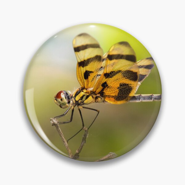 Item preview, Dragonfly designed and sold by Alla Gill.