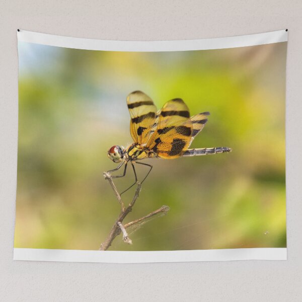 Item preview, Dragonfly designed and sold by Alla Gill.