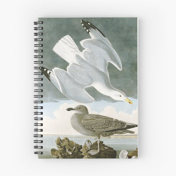 Item preview, Vintage Seagull Illustration designed and sold by Vintage Wall Art.