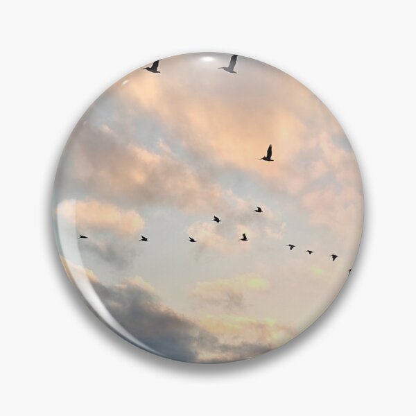 Item preview, Morro Bay Beach Pelicans designed and sold by Michael Rock Art.