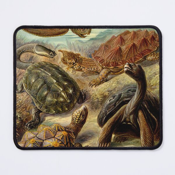 Item preview, Vintage Turtles - Ernst Haeckel designed and sold by softbluehum.