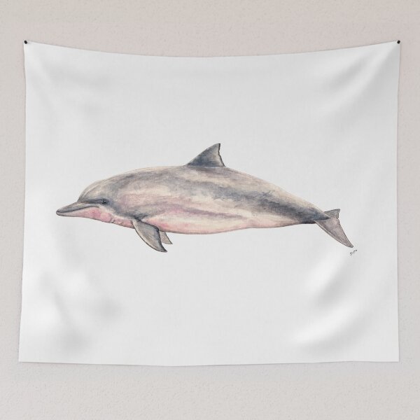 Item preview, Tucuxi, river dolphin species designed and sold by chloeyzoard.