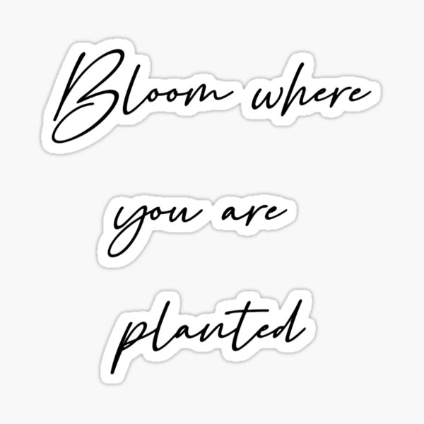Bloom Where Planted Sticker, 3x3 in.