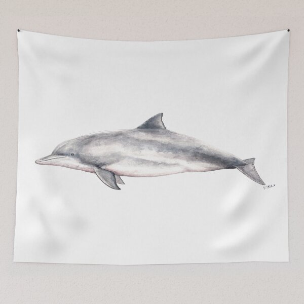 Item preview, Tucuxi: coastal species designed and sold by chloeyzoard.