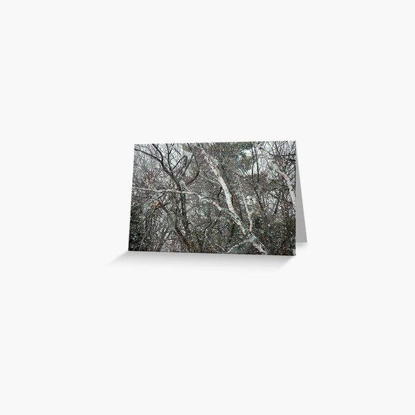 February big snow flakes Greeting Card