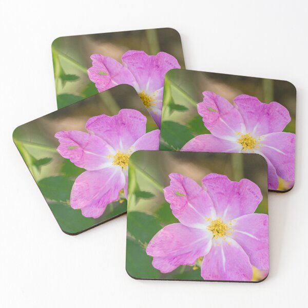 Item preview, Wild Rose with Visitor designed and sold by hesselphoto.