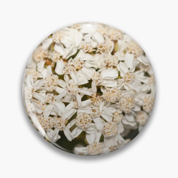 Item preview, Yarrow designed and sold by hesselphoto.