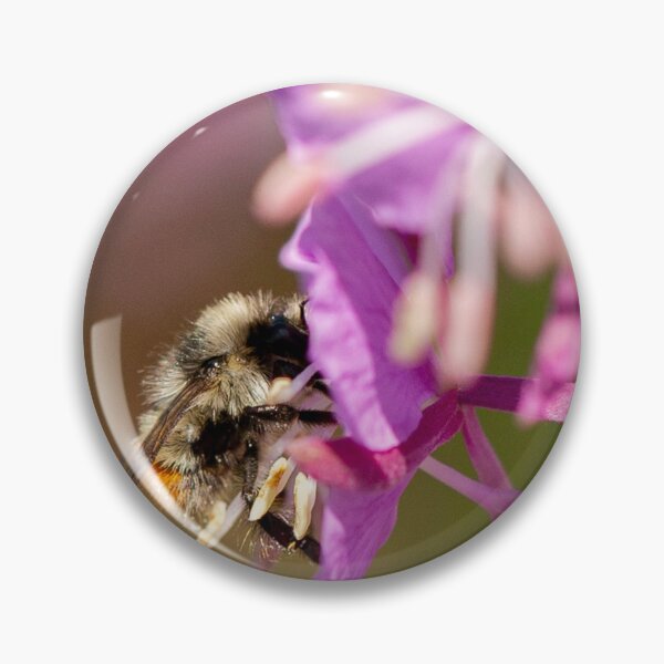 Item preview, Pollination designed and sold by hesselphoto.