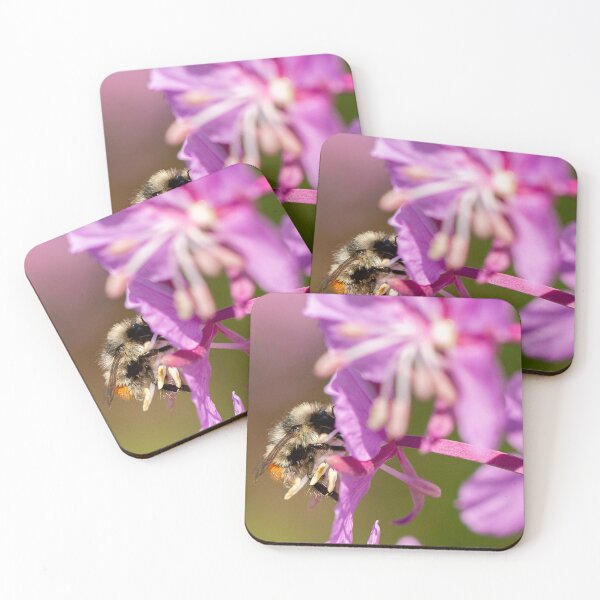 Item preview, Pollination designed and sold by hesselphoto.
