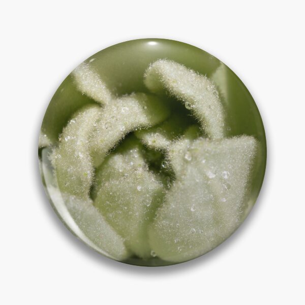Item preview, Mullein Leaves designed and sold by hesselphoto.