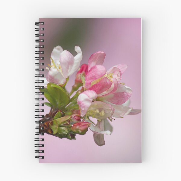 Item preview, Crabapple designed and sold by Kim Chi Thai.