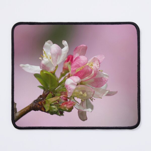 Item preview, Crabapple designed and sold by Kim Chi Thai.