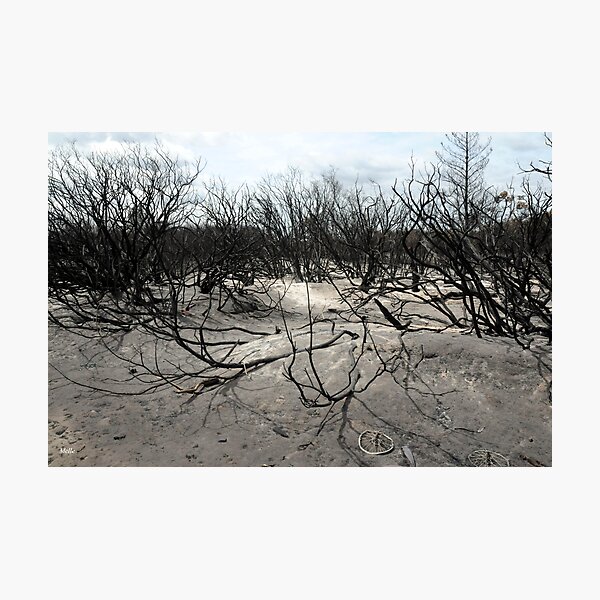 Item preview, Seaford Fire Aftermath designed and sold by Melle.