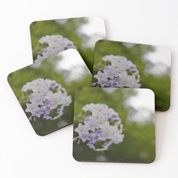 Item preview, A potatoe vine, and pretty lilac flowers, photographed with bokeh designed and sold by JessicaKeegan.