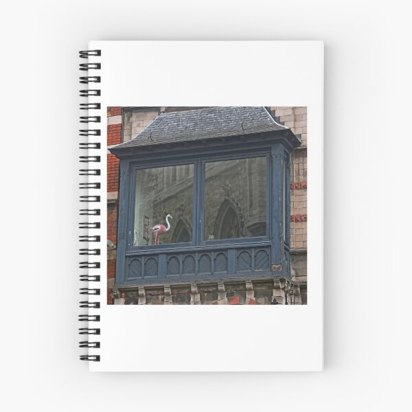 Item preview, Flamingo in Ghent designed and sold by alleiga-ndstrom.