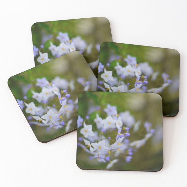 Item preview, A dreamy photo of a potatoe vine designed and sold by JessicaKeegan.