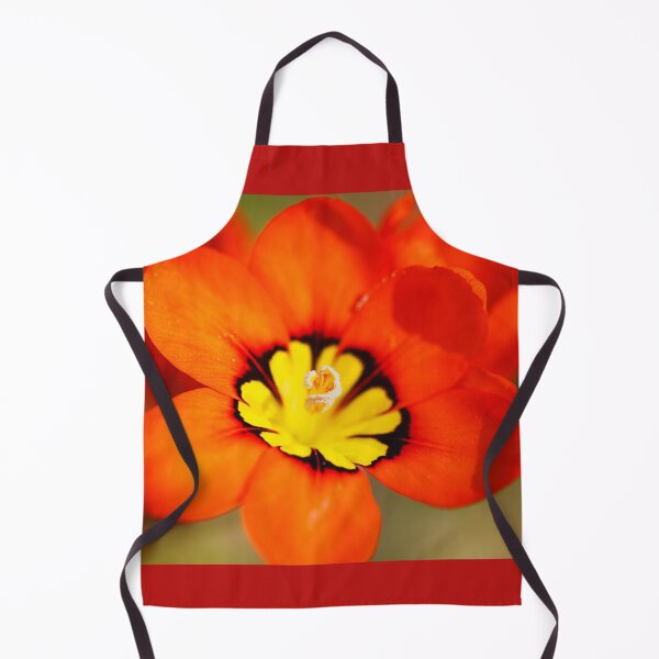 Item preview, Yellow Red And Black Tritonia Flower designed and sold by Joy Watson - Natural Light Photography .