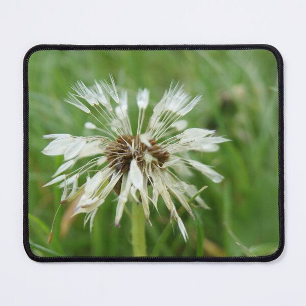 Item preview, fairy flower with water drops on. designed and sold by outtheboxangles.