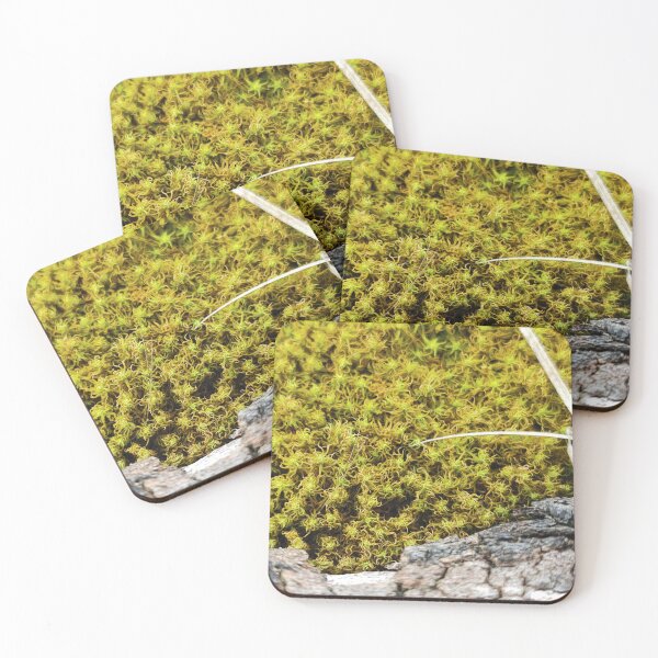 Item preview, Maritime foam designed and sold by itkacreations.