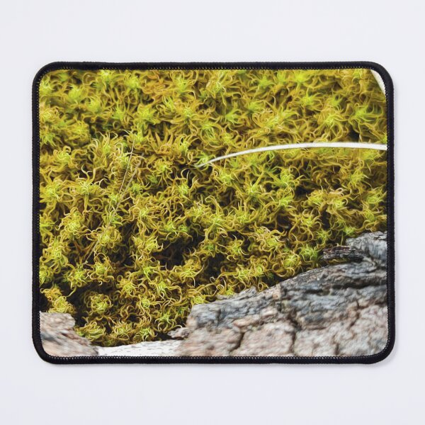 Item preview, Maritime foam designed and sold by itkacreations.