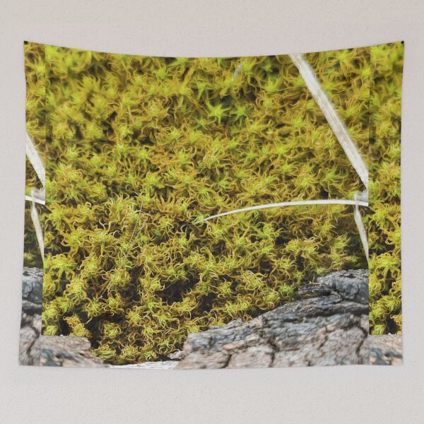Item preview, Maritime foam designed and sold by itkacreations.